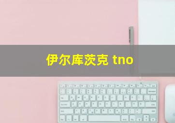 伊尔库茨克 tno